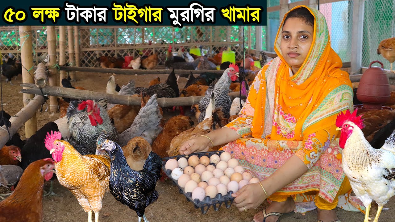 সখি আপা জিরো থেকে হিরো টাইগার মুরগি পালন করে।৫০ লক্ষ টাকার টাইগার মুরগির খামার। Tiger morgi