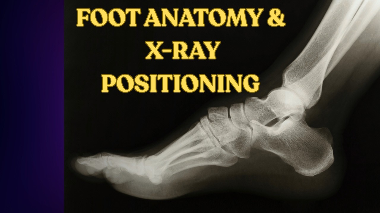 Foot Anatomy & X-Ray Positioning Explained