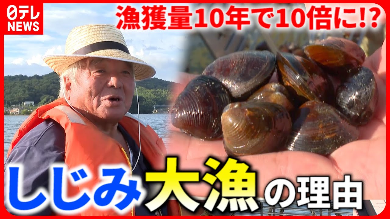 【しじみ】漁獲量１０倍に!? 鳥取・湖山池のシジミ漁