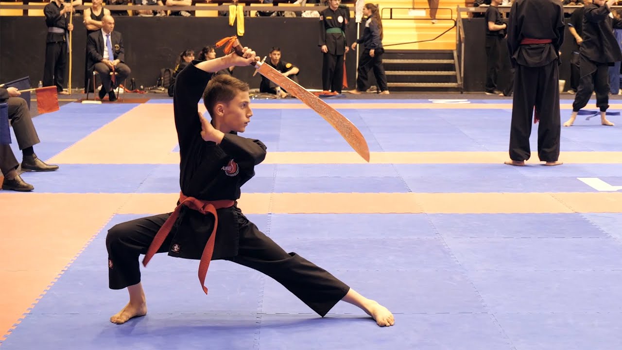 [Reportage] Championnat de France Technique Arts Martiaux Vietnamiens 2019