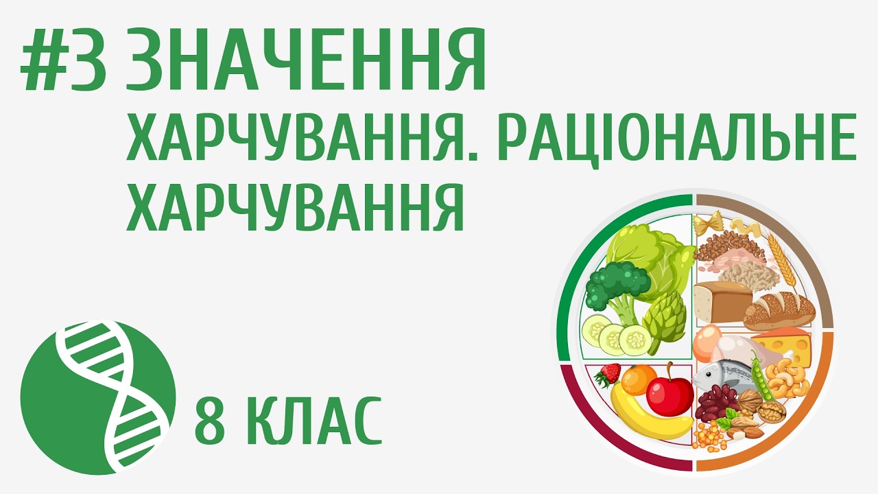 Значення харчування. Раціональне харчування #3