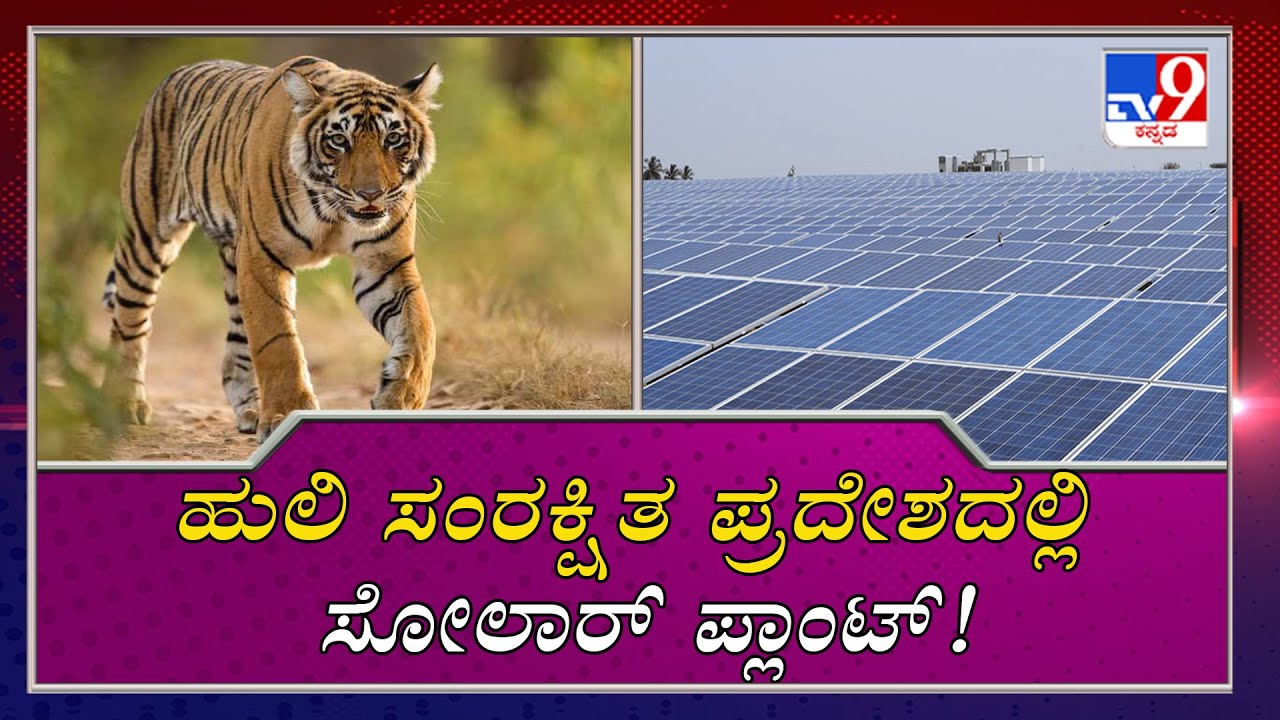 Solar Plant in BRT Tiger reserve forest angered the environmentalists