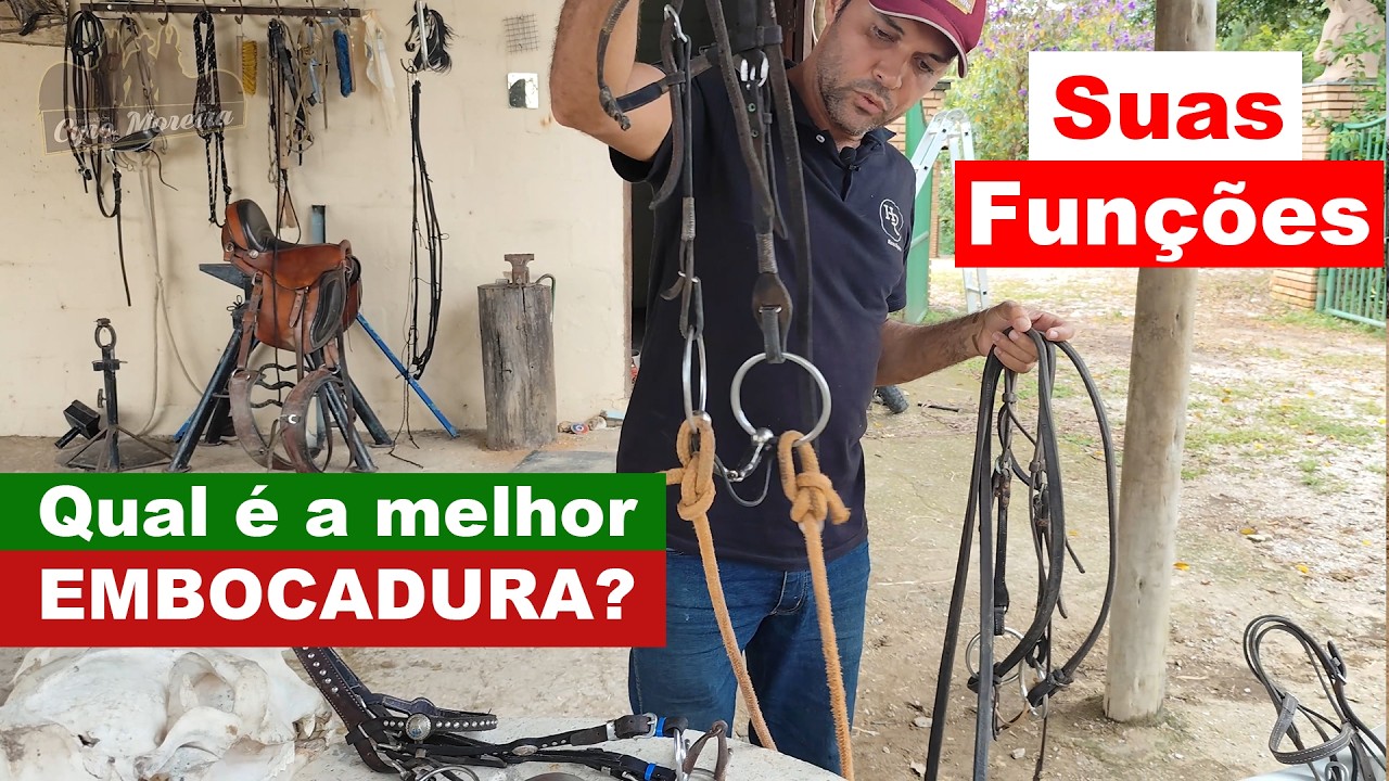 Embocaduras e Suas Funções | Como Escolher a Embocadura Correta