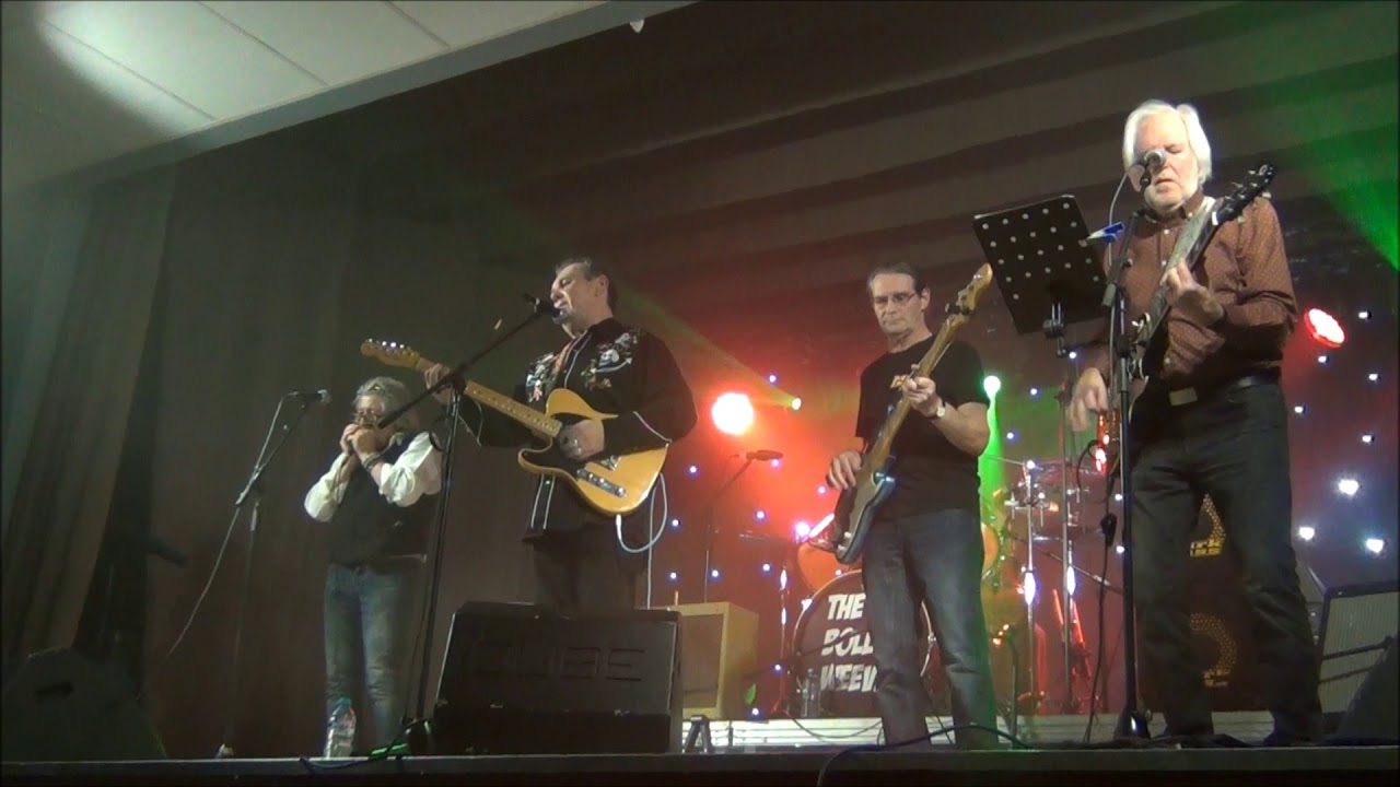 THE BOLL WEEVILS - MISTERY TRAIN ( covers )  e.a.