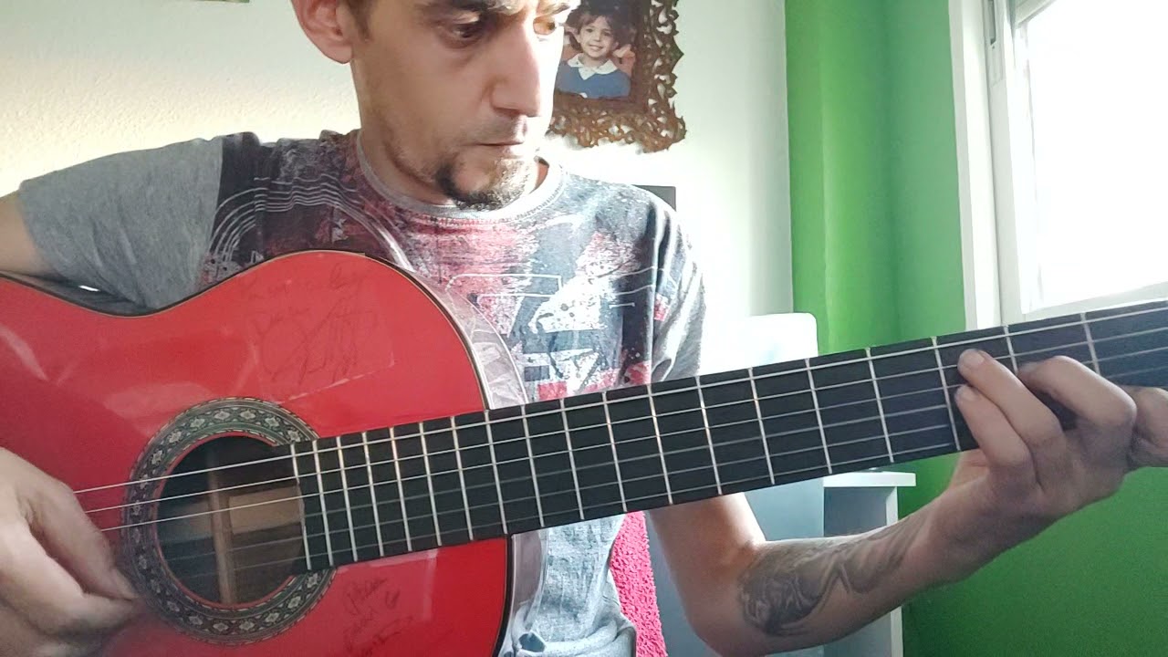 mama dolores, el bicho   cover guitarra