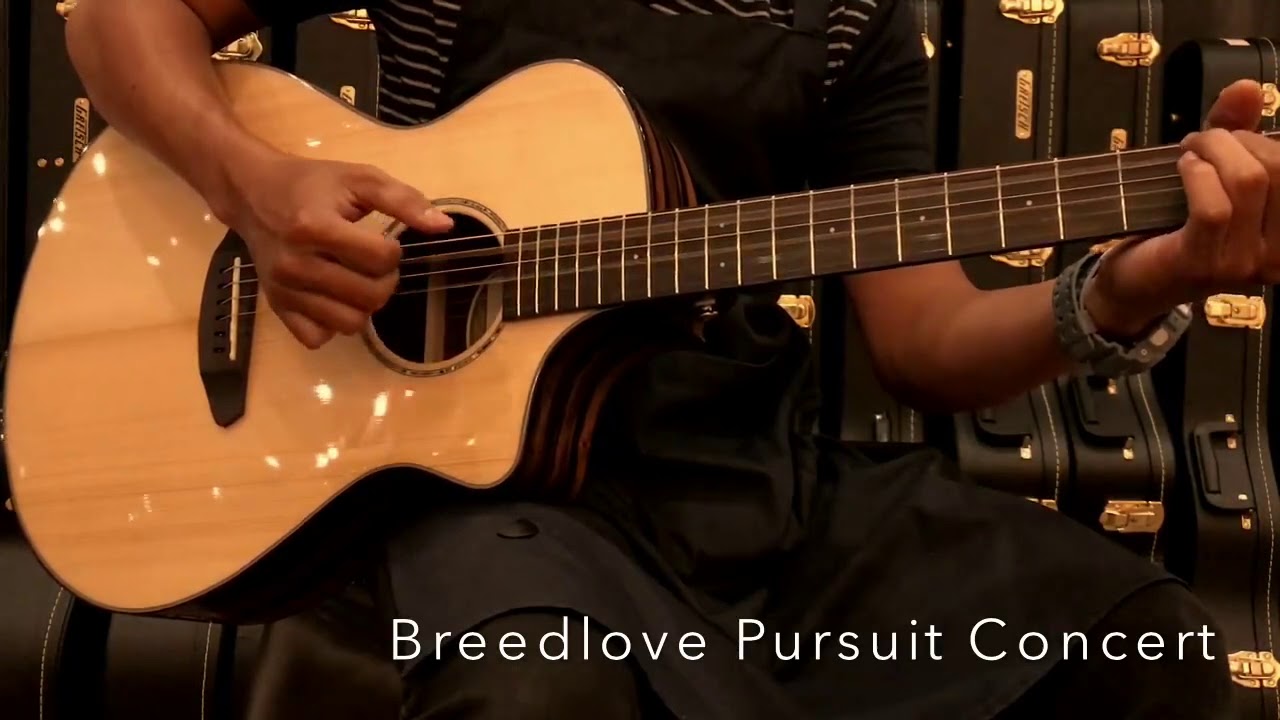 Strings Test - Breedlove Pursuit Concert