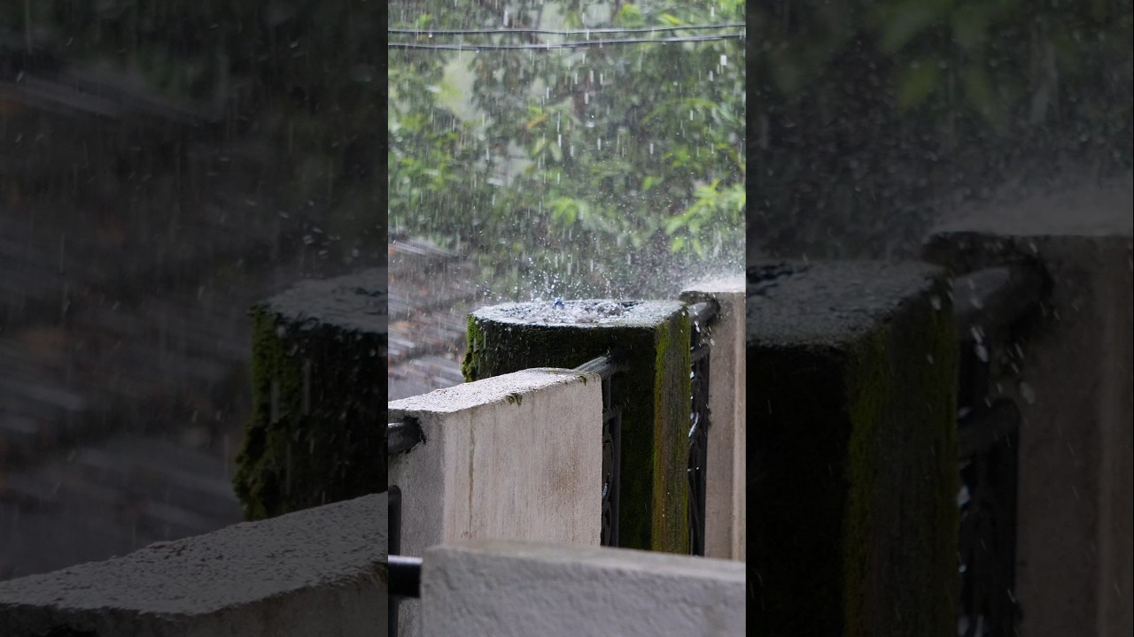 4K Slow Motion: Rain Falling 📹📹
