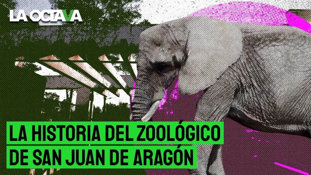 ¿OTRO ZOOLÓGICO en CIUDAD de MÉXICO? ESTE es el ZOOLÓGICO de SAN JUAN de ARAGÓN