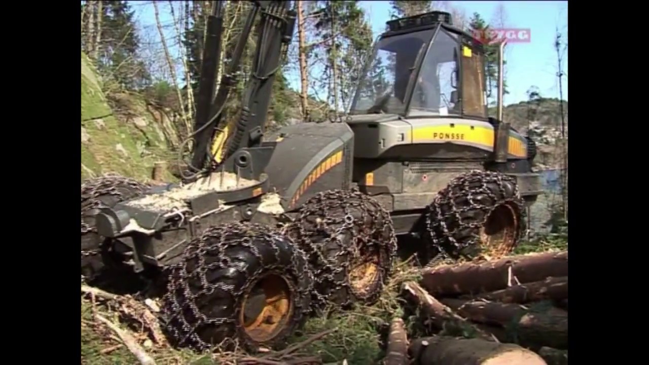 TRYGG Forestry