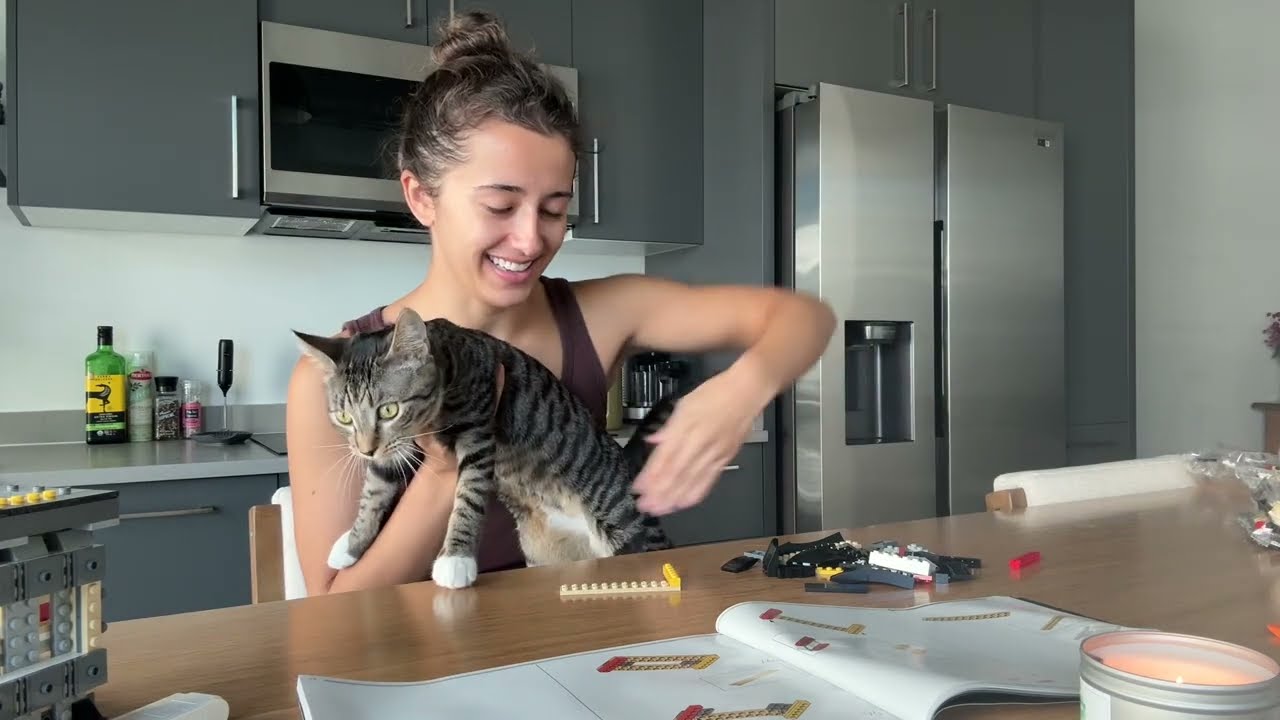building a lego set & some chatting