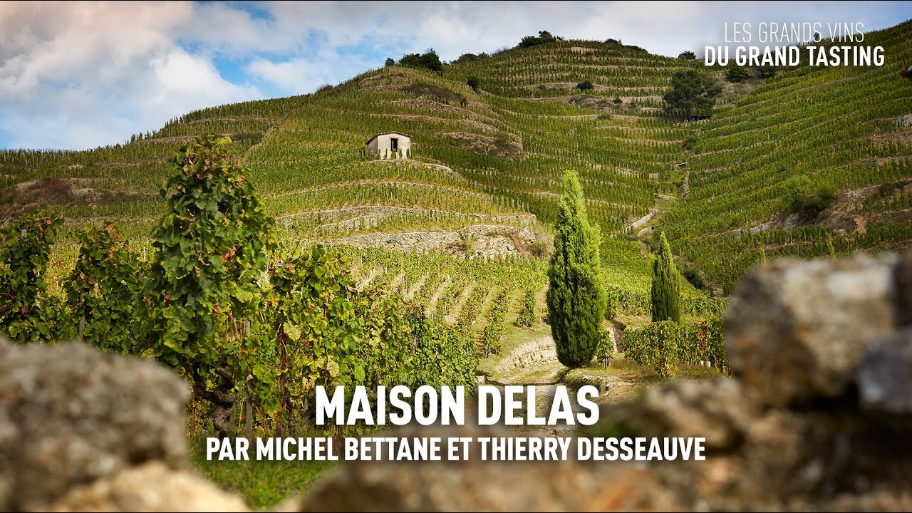 Les grands vins du Grand Tasting : Maison Delas