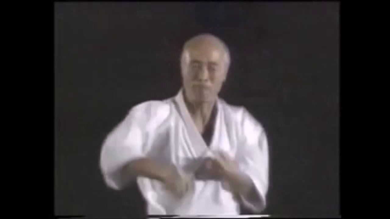 master suzuki  , Wado Ryu;s greatest Master