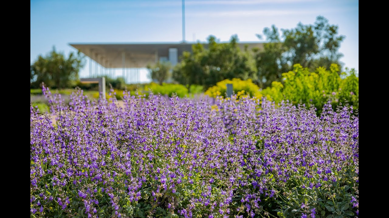Discover the Stavros Niarchos Park with Helli Pangalou | SNFCC