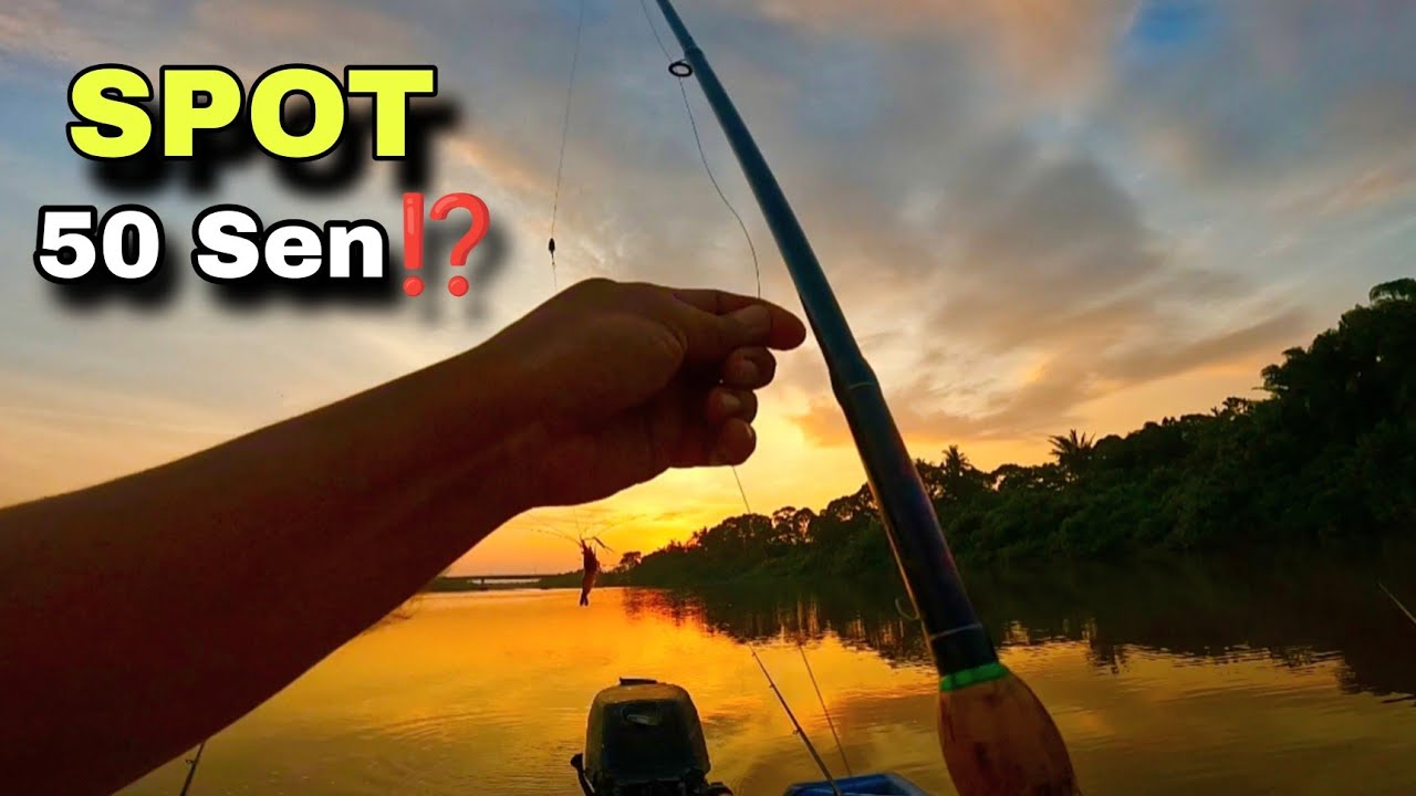 Kali ini lumayan sungguh‼️memancing di spot 50sen‼️