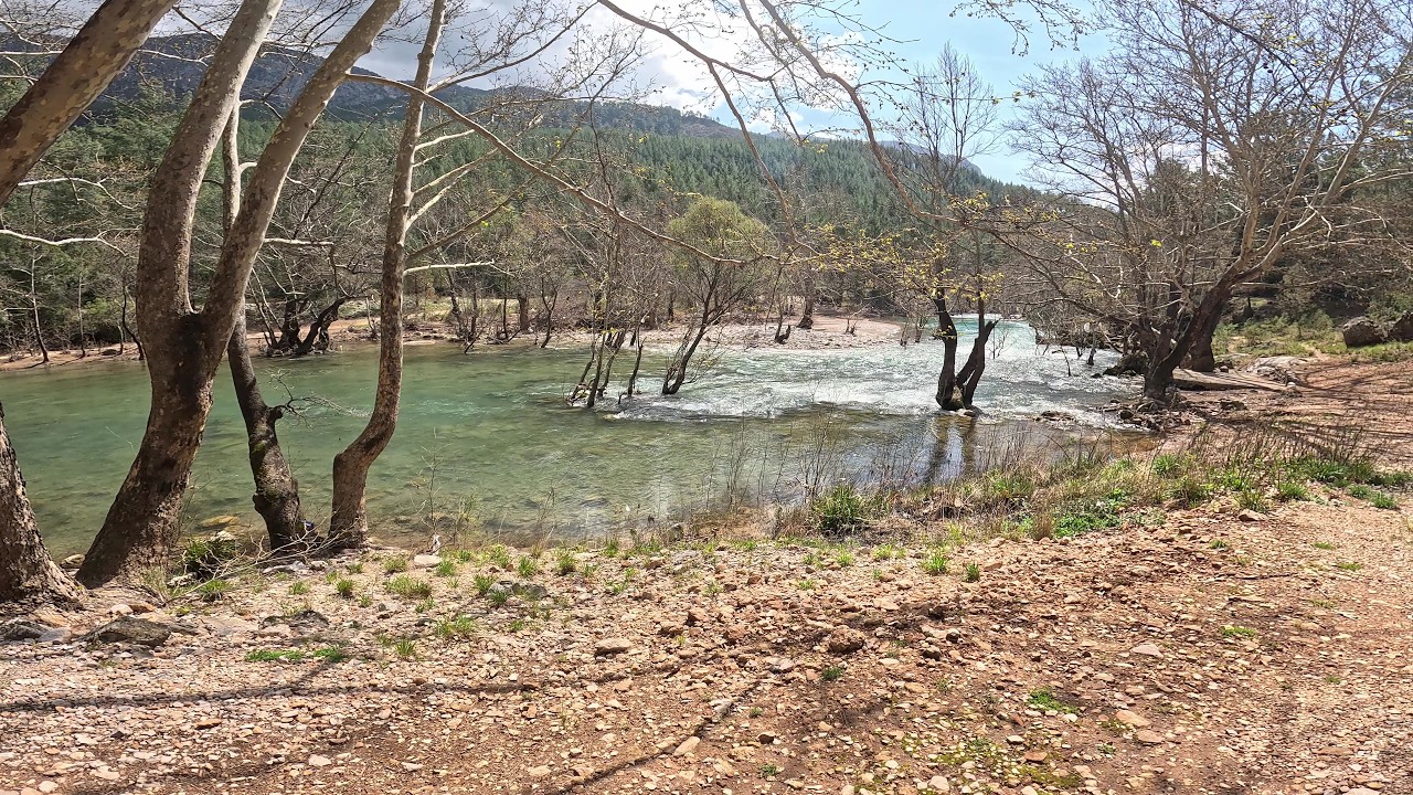 This River flows through a Forest! | Manavagat Easy and Alara Narrows Kayaking