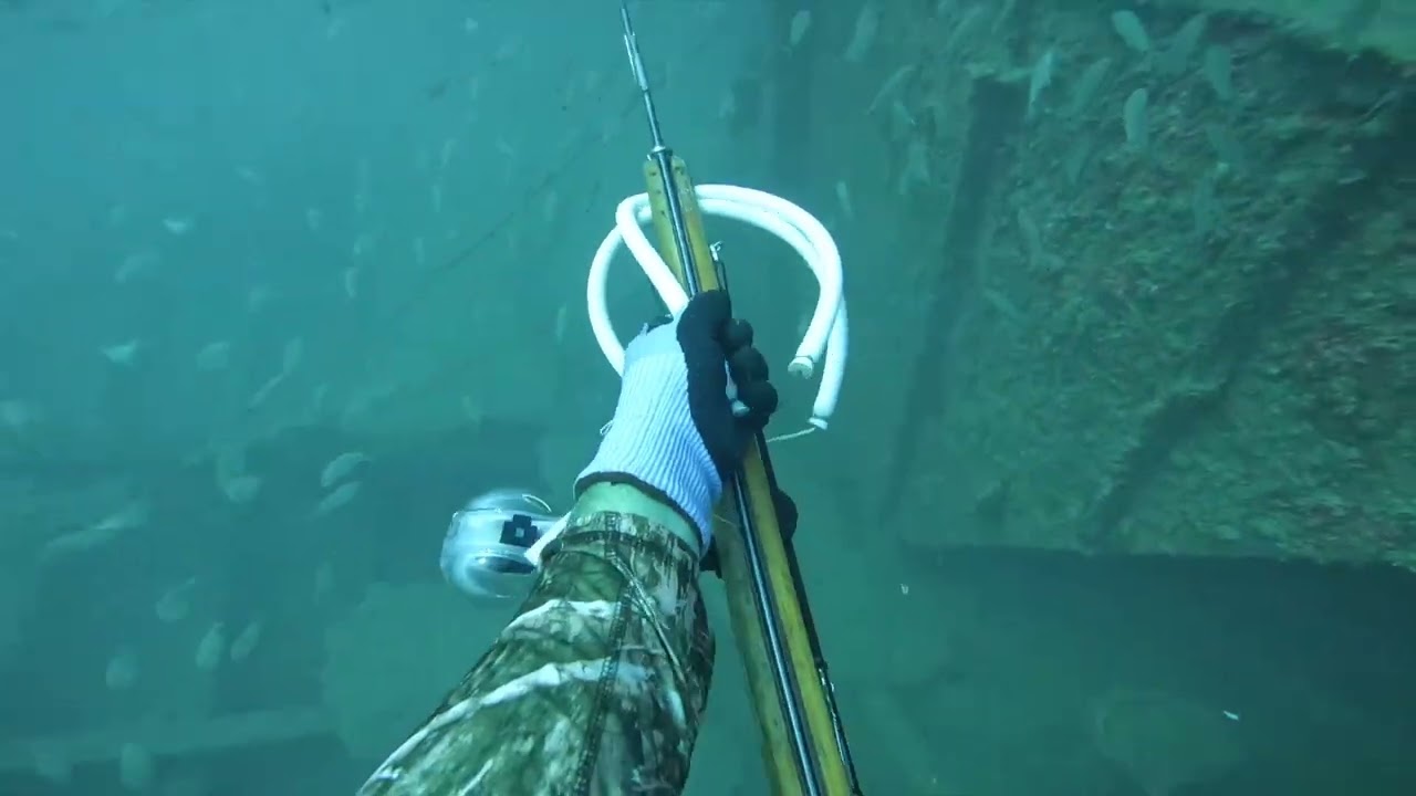130 snapper wreck