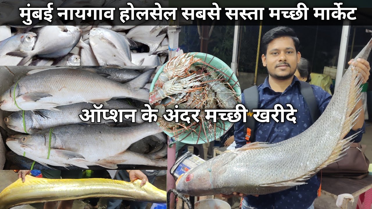 Naigaon Fish Market Latest Video | Mumbai Naigaon Fish Market | Naigaon Fish Market Wholesale