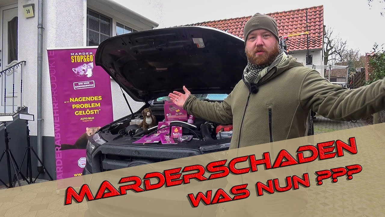 Marderabwehr Einbau | Stop&Go 7 Plus-Minus SKT Hochspannungsgerät mit Ultraschall | Ford Ranger