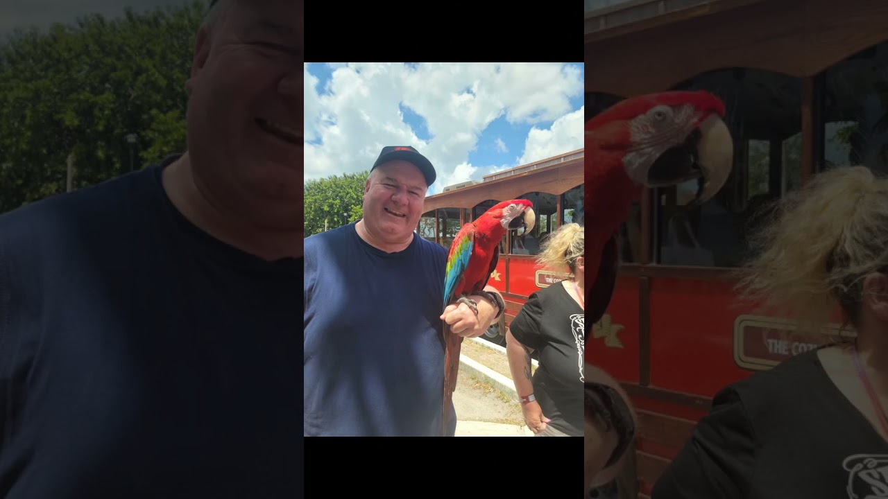 Carla white travel vlog 2024 cruise
