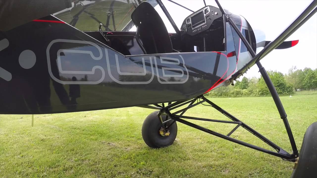 Shock Cub