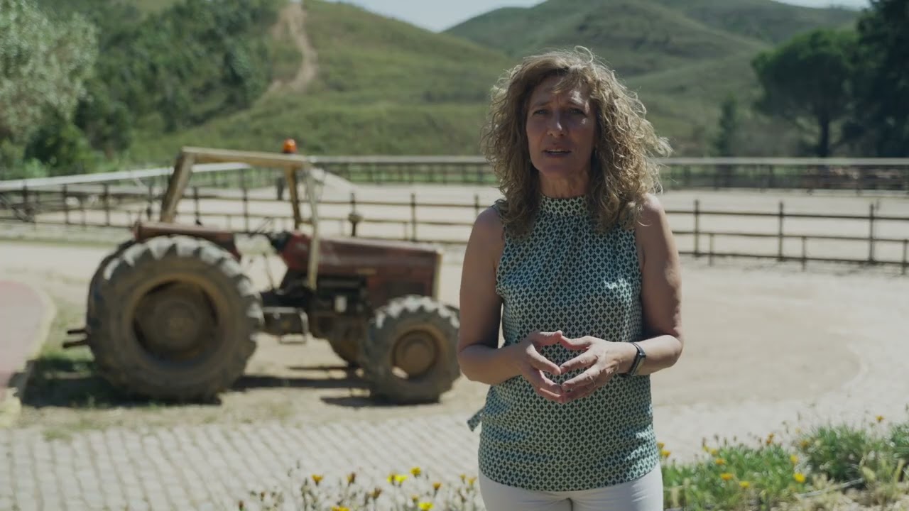 Hoje é dia de ir colher legumes à horta ou então fazer compota!