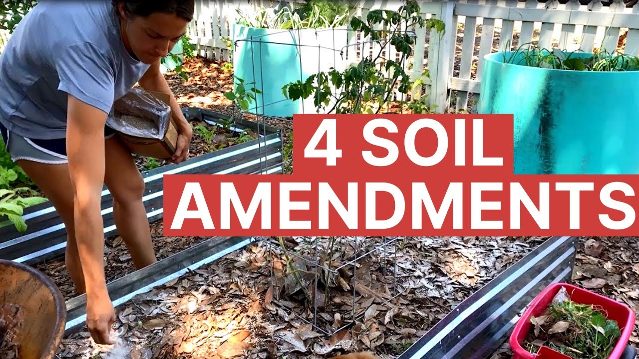 4 Fertilizers Your Garden Is Begging You For