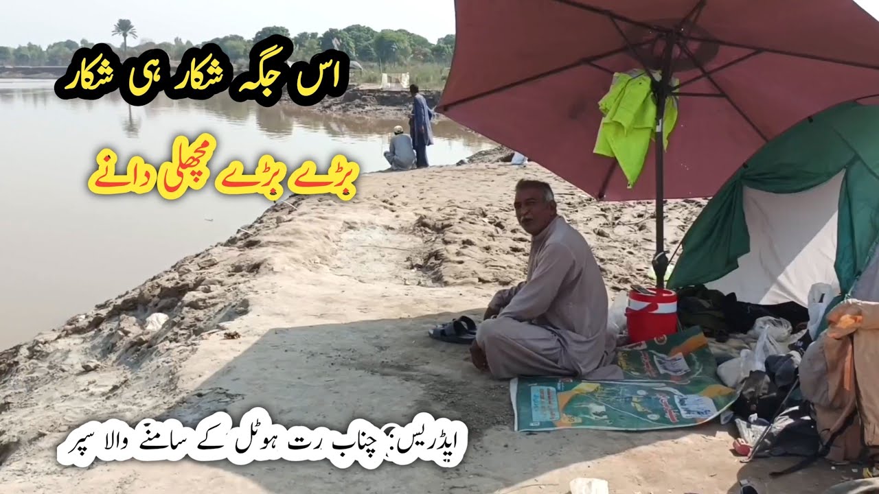 Best River Fishing Spot Revealed | اس جگہ پر شاندار شکار جاری ہے 🎣