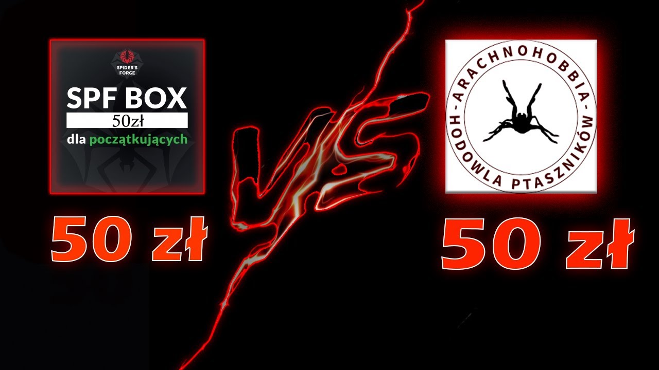 PORÓWNANIE MYSTERYBOXÓW DLA POCZĄTKUJĄCYCH OD ARACHNOHOBBII I SPIDERSFORGE ZA 50 ZŁ