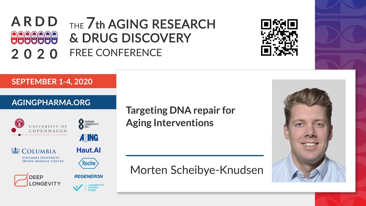 Morten Scheibye Knudsen - Targeting DNA repair for Aging Interventions