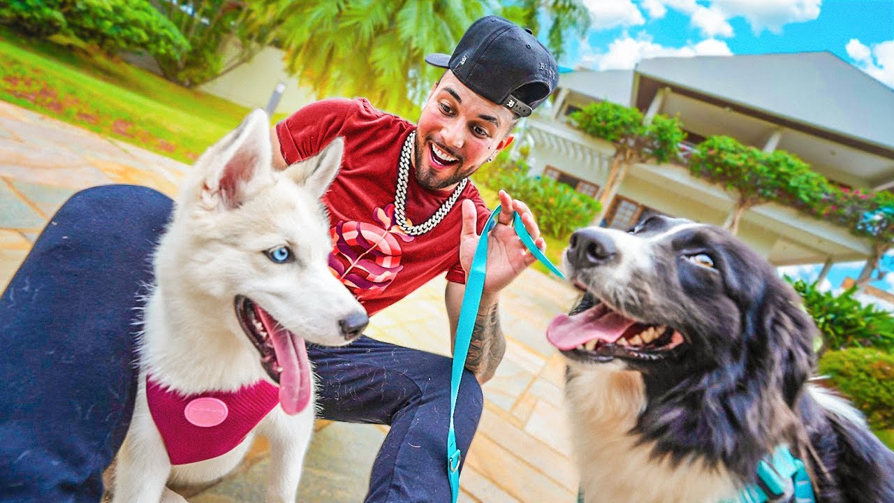 IMPRESSIONANTE😱 FIZ O GRANDE ENCONTRO DA ZOE COM A SKY 😍🐶 *deu briga?*