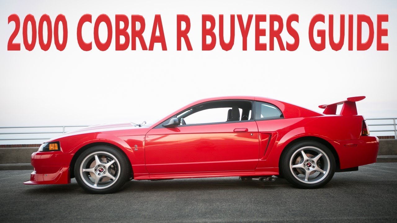 2000 Ford Mustang Cobra R buyers guide