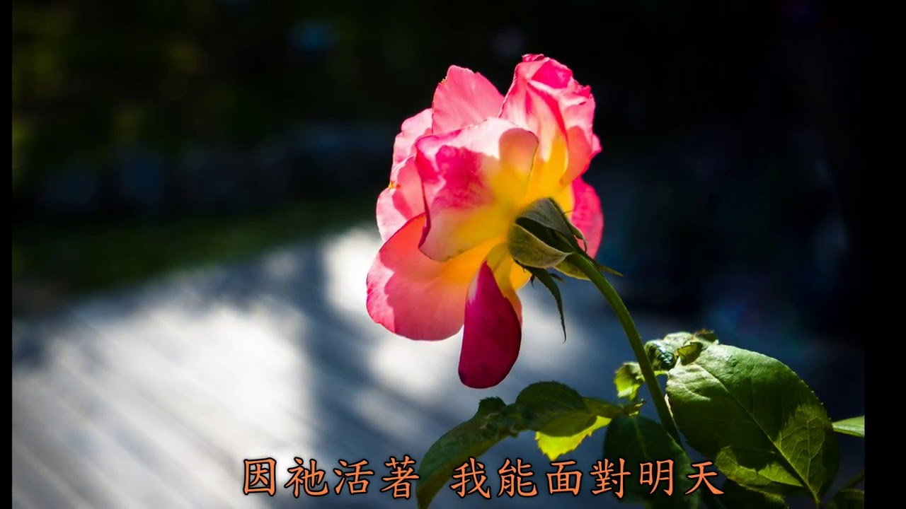 因祂活著 Because He Lives _ 台北靈糧堂雅音詩班