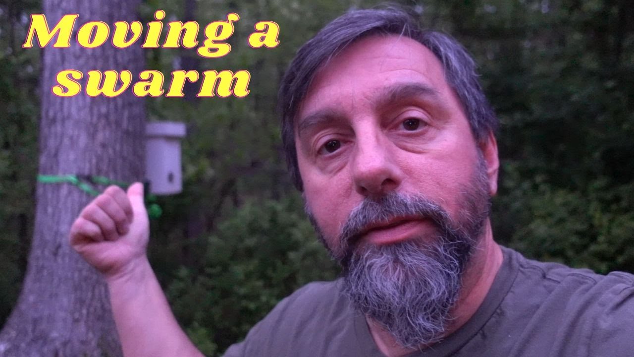 How I relocate a swarm a short distance