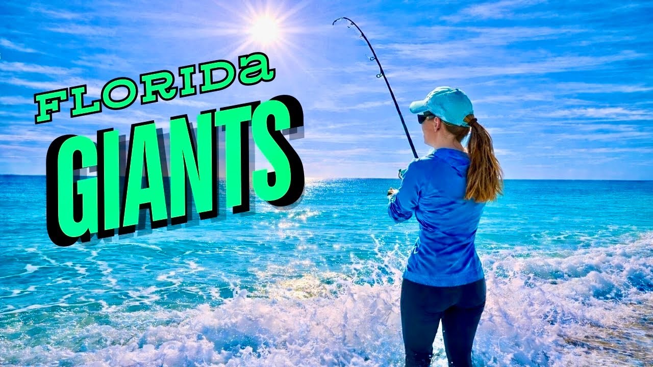 HOW TO catch GIANTS from the BEACH!