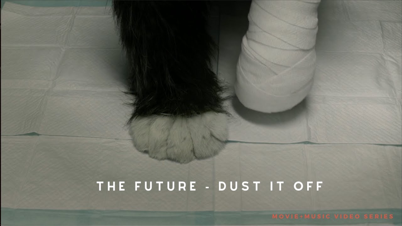 The Future - Dust it off( Focus: Miranda July)