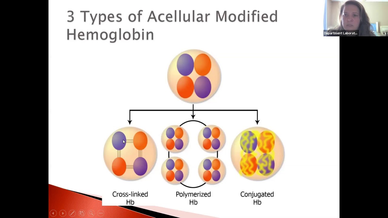 BloodBank Lecture 40 2020