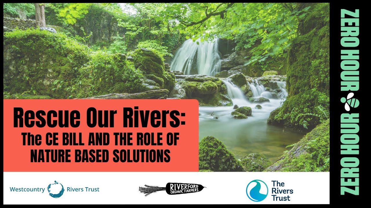 Rescue Our Rivers: The Climate and Nature Bill and the role of nature based solutions
