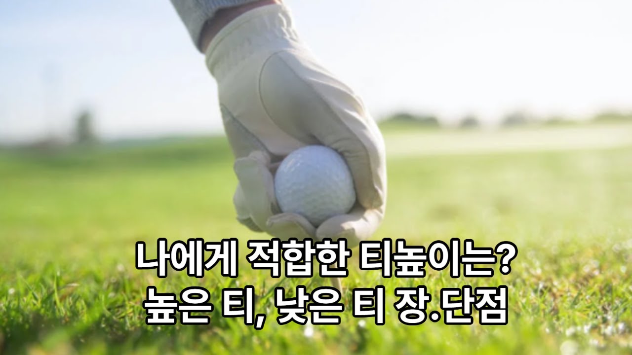 나에게 적합한 드리이버 티 높이는? 높은티 낮은 티 장단점#golf #golfswing #골프레슨 #골프 #타이거우즈 #로리맥길로이 #골린이 #티높이 #드리이버 #골프 #넬리코다