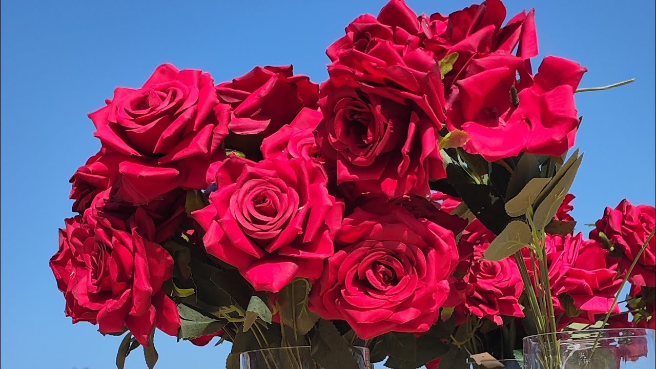 Single lady  is live! #live #friends #morninglive #liveoman #muscat #dubai #saudi