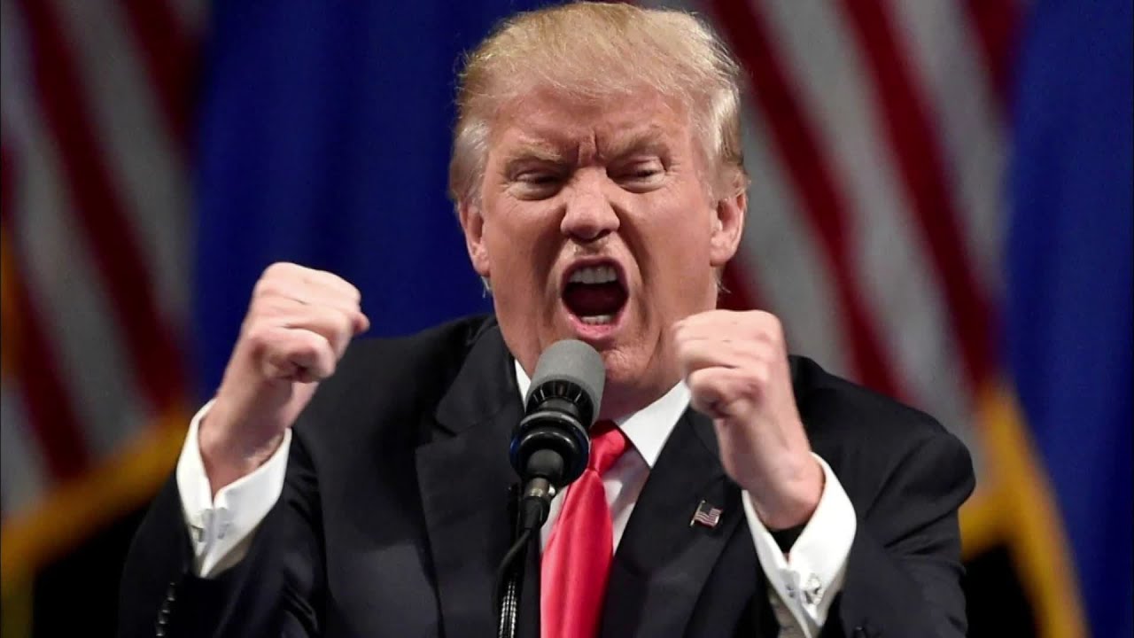 DONALD TRUMP : qui pourra l'arrêter ?