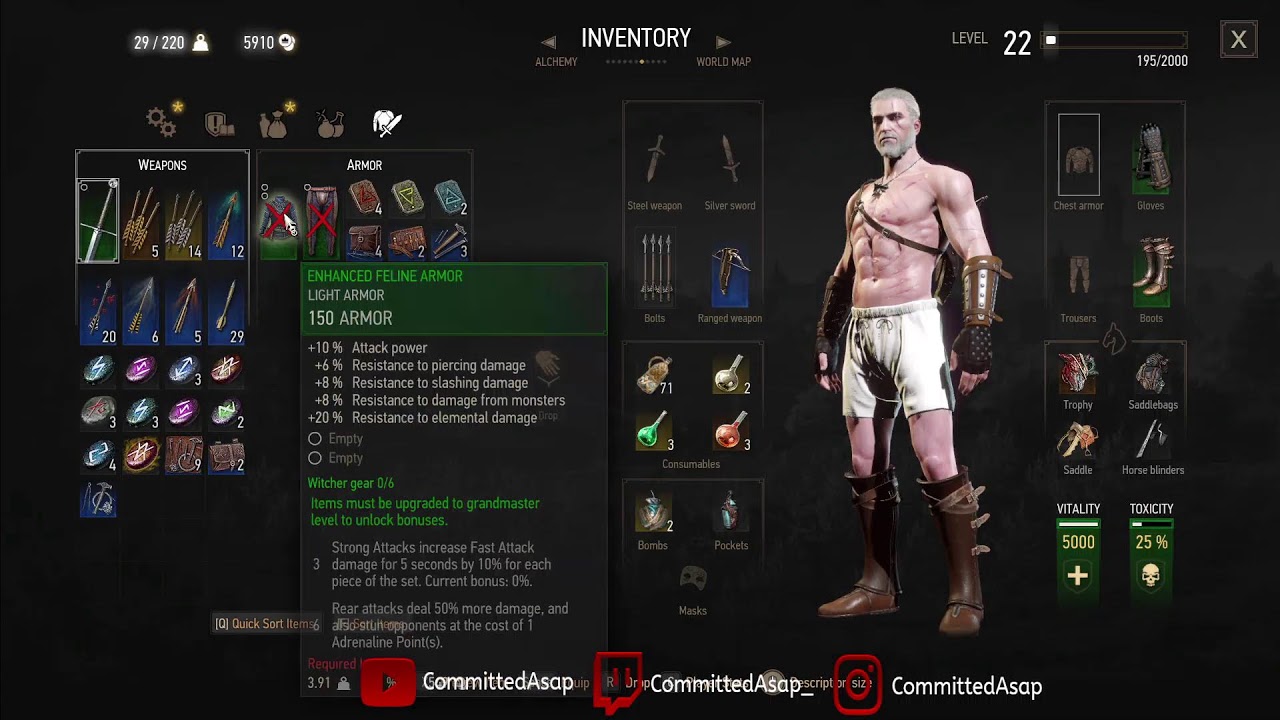 Lets Play The Witcher 3 Wild Hunt PT 10