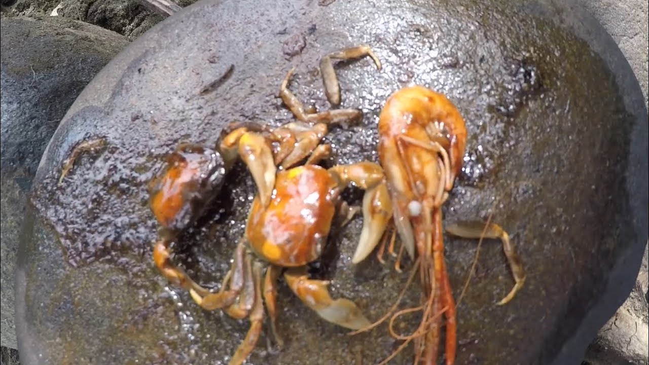 EP:08 Alimasag + Hipon Catch and Cook | Stone Grilled | Casili River Basin Rizal Province