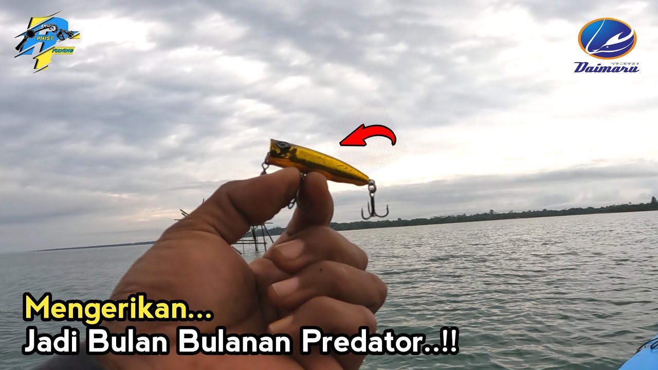 Top Water Daimaru Mini Pop 4.5gr..Kecil