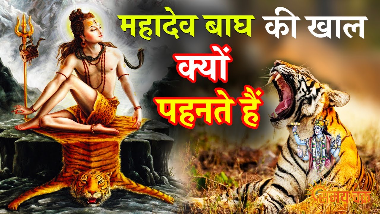 महादेव बाघ की खाल क्यों पहनते हैं, mahadev bagh ki chal kyun pehente hain