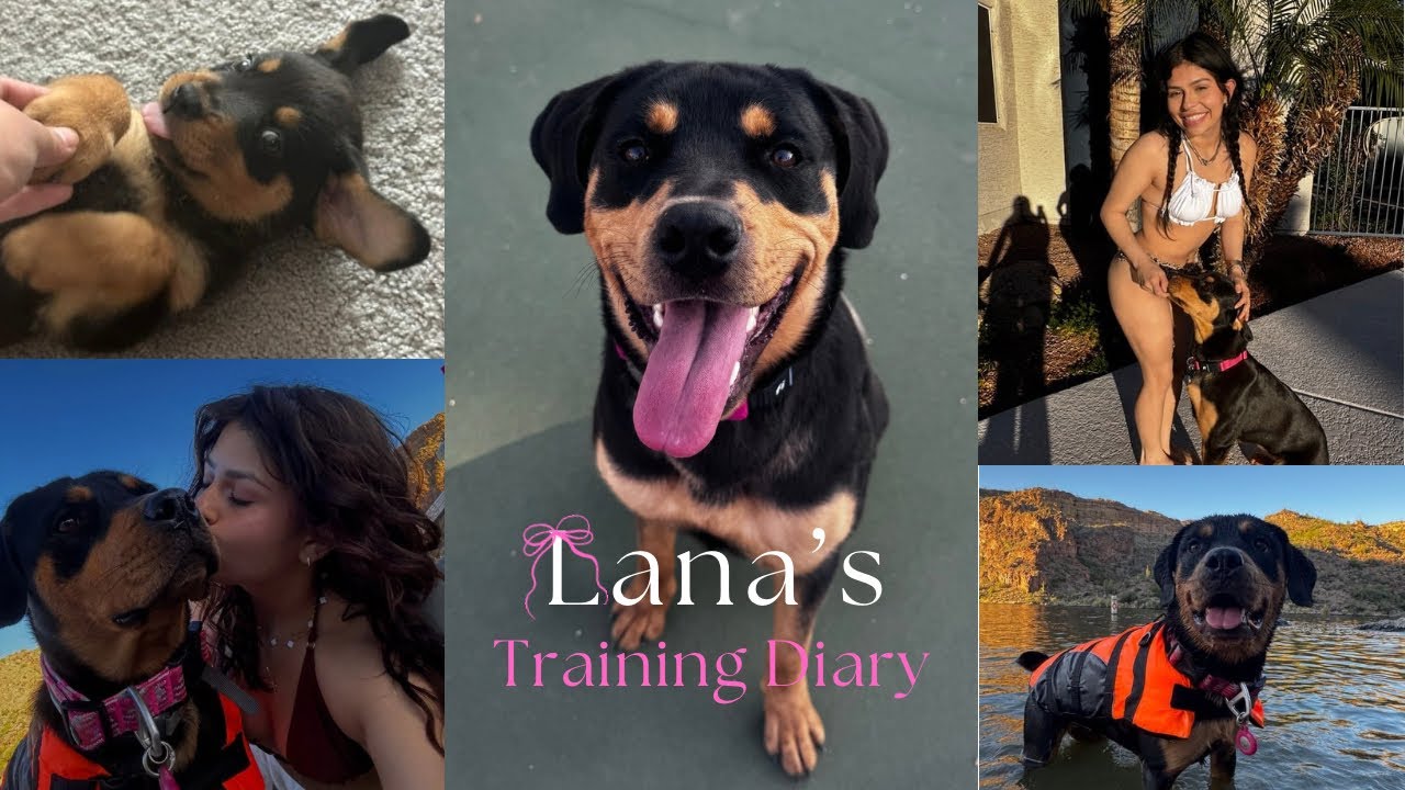 🐾 Lana’s Training Diaries | Episode 1 — Skating, Trust & Our Journey