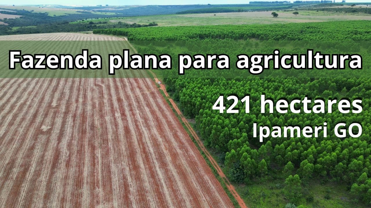 Fazenda perfeita para lavoura com 421 hectares em Goiás