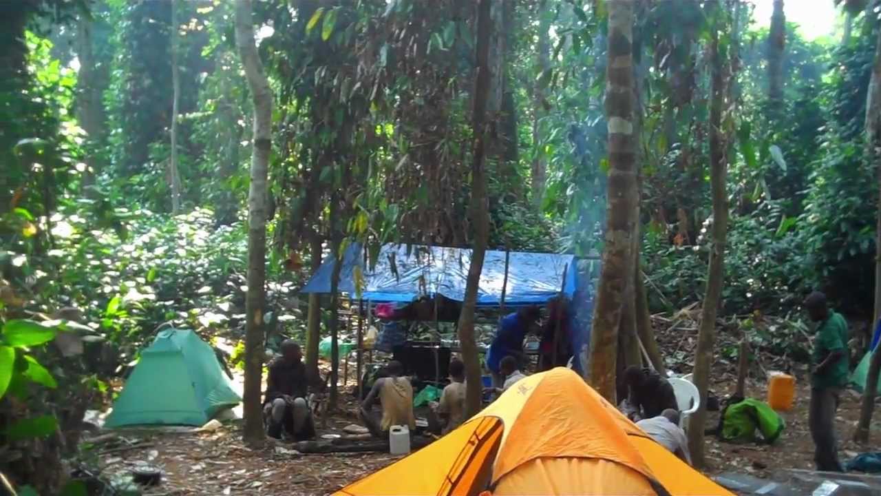 Tracking Ebola in the Congo Jungle