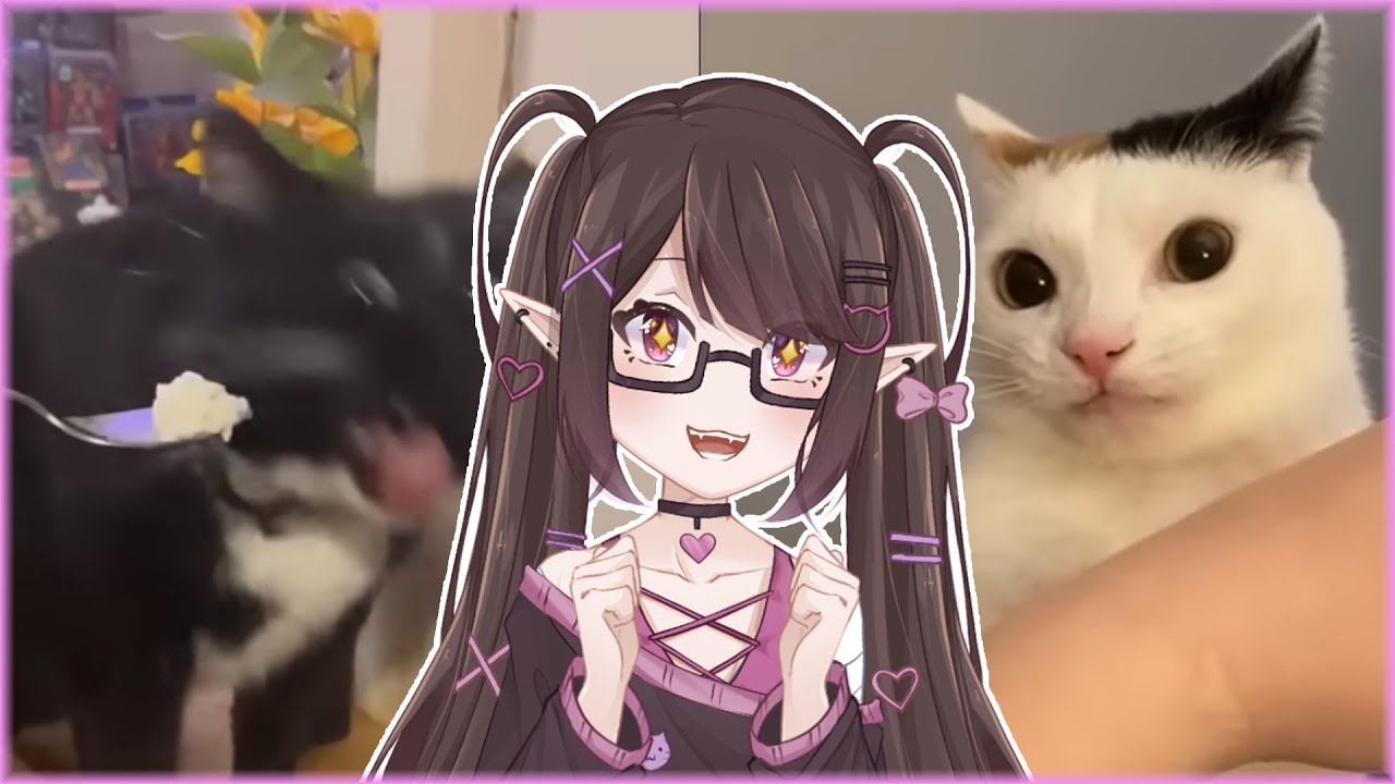Cats that will cure your depression ┃ vtuber reacts to Best Cat Videos of the Decade