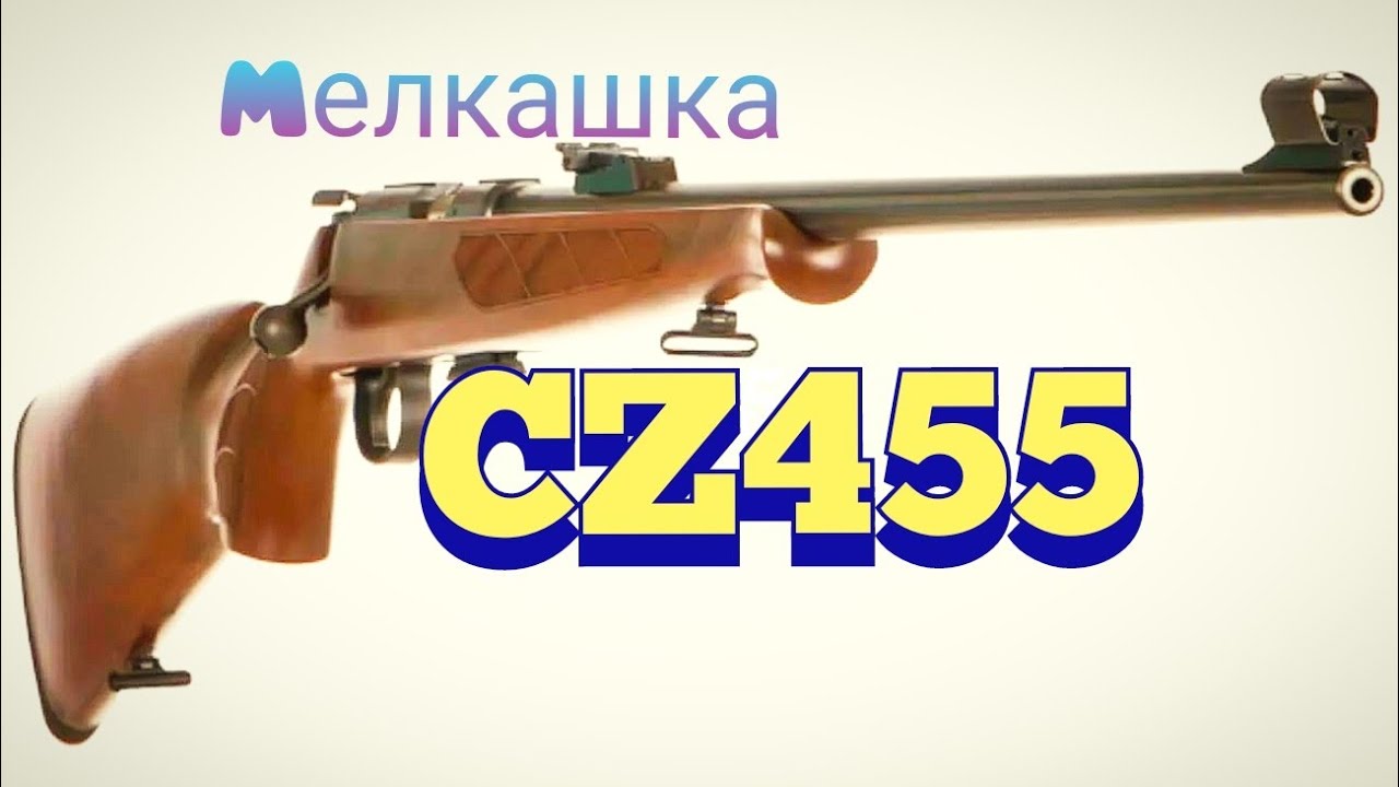 МЕЛКАШКА CZ 455 (ОХОТНИЧИЙ БИАТЛОН)