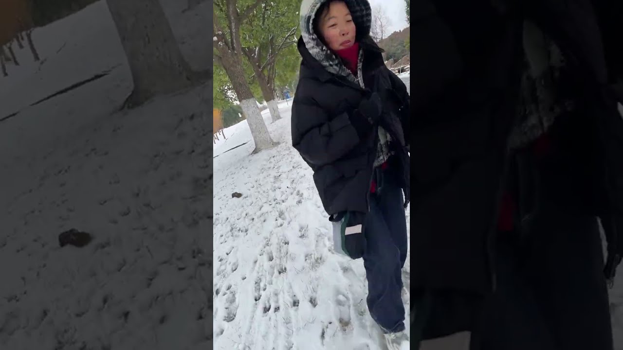 المشي وسط جبال مغطاة بالثلج – تجربة هادئة ❄️Peaceful Winter Walk (LIVE)